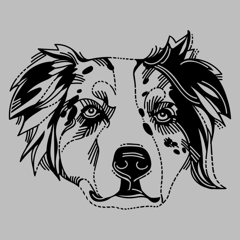 Australian Shepherd