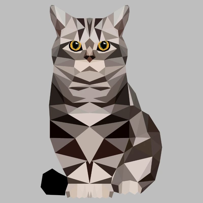 polygone maison chat chaton chat