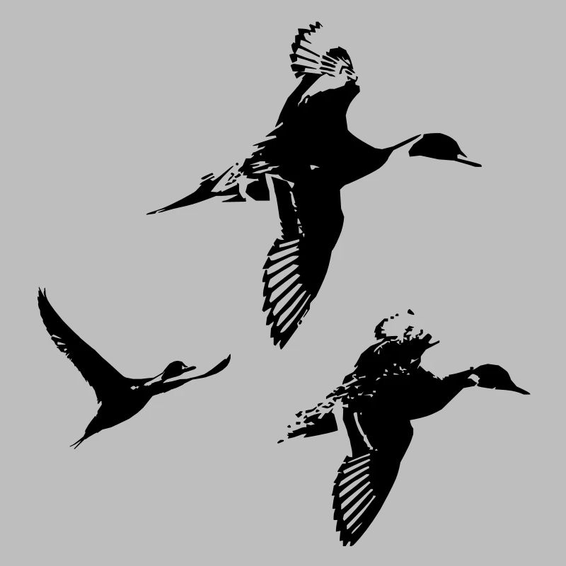 groupe canards pillet