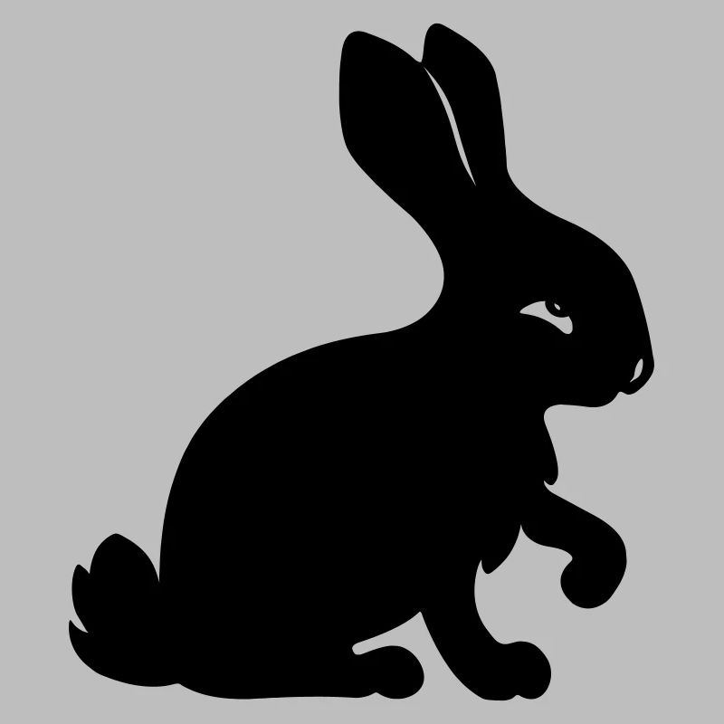 Rabbit shadow image year of the rabbit