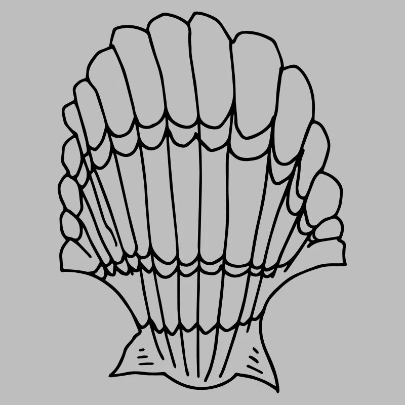 shell