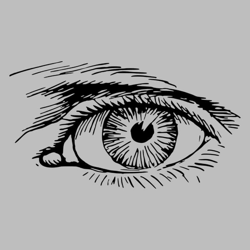 eye