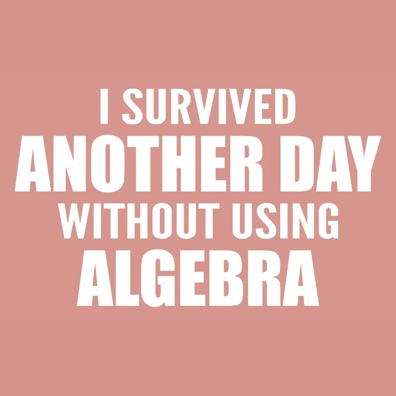 I survived without doing algebra today