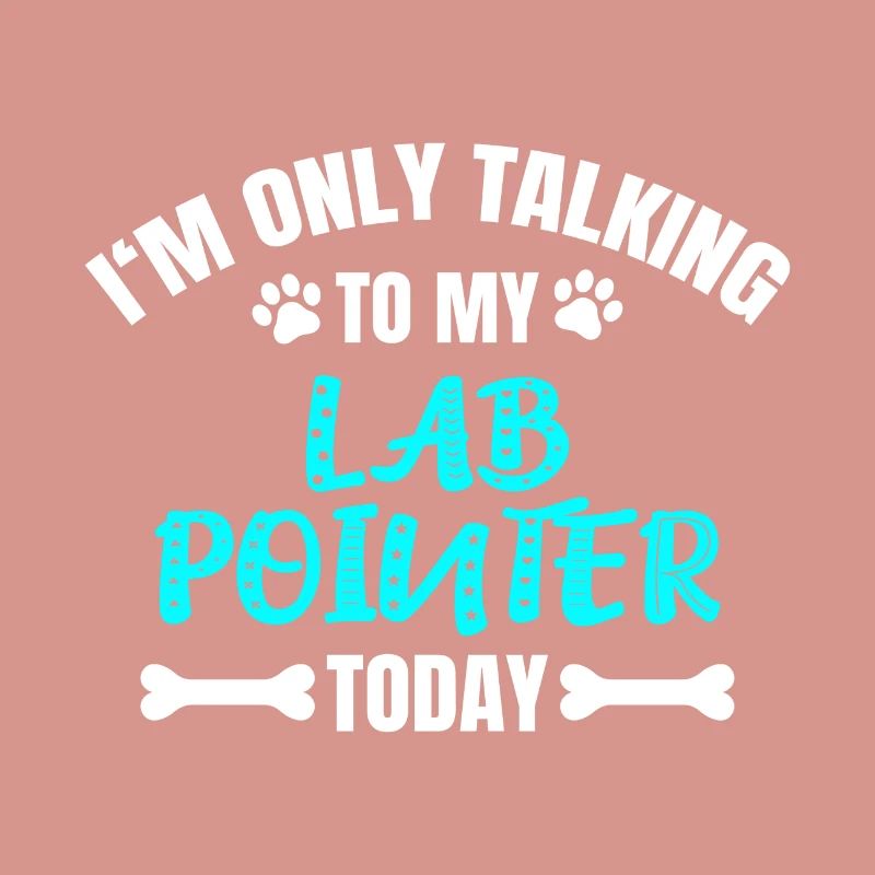 Lab Pointer