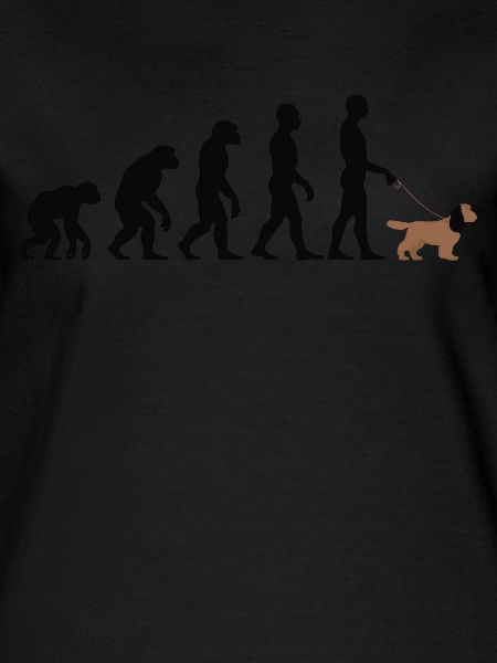 Cocker Spaniel