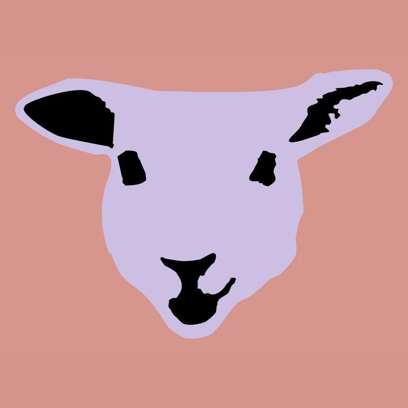 sheep, lamb