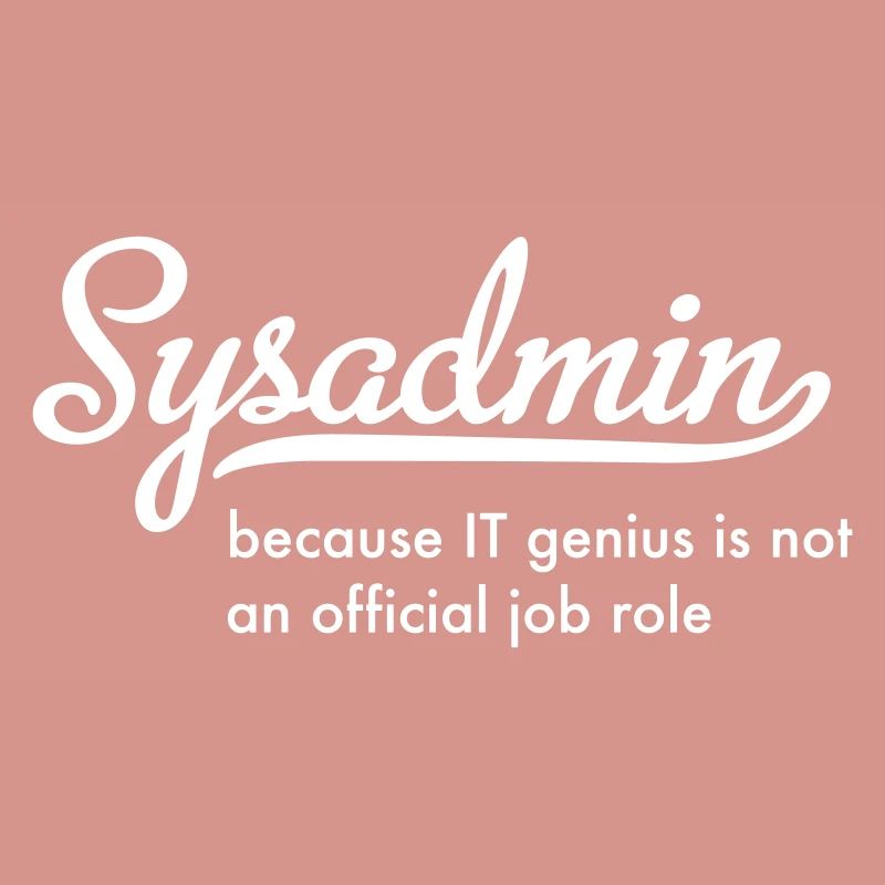 Administrateur système