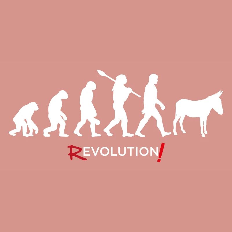 Revolution - Evolution Man Fun Twist 17
