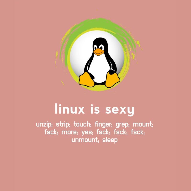 Computer System Pinguin Nerd pc inside code admin