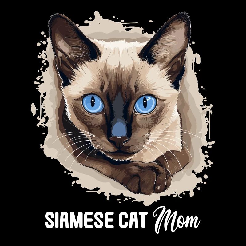 Siamese Cat Siamkatze