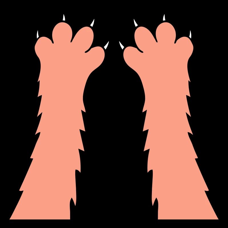 Cats, claws, paws, paws, sharp claws, scratching
