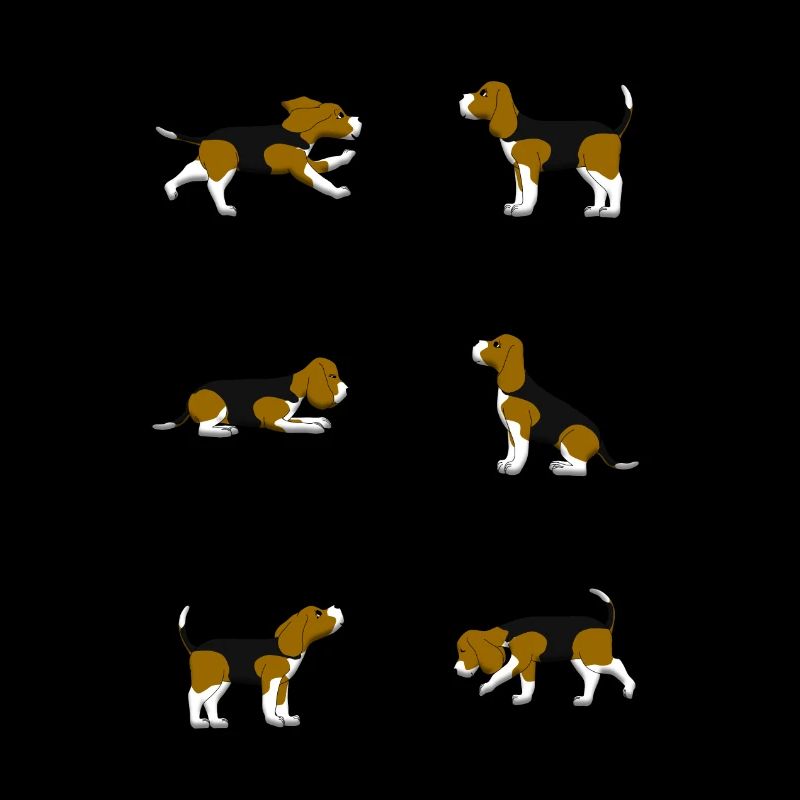 Beagle selection