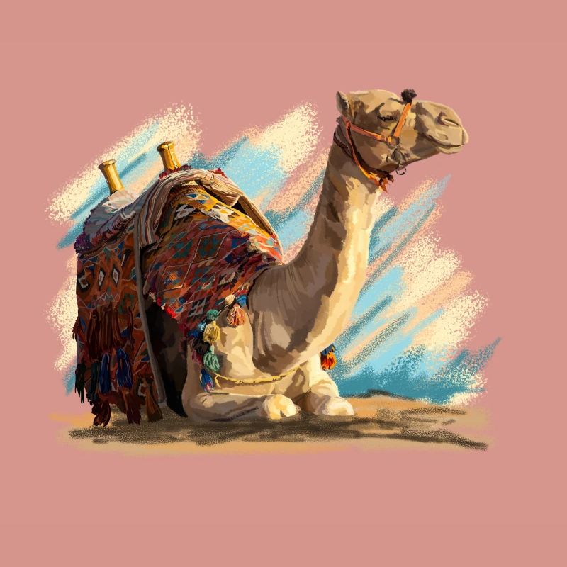 Camel