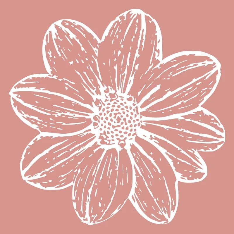 Fleur, Blanc, Fleur Blanche