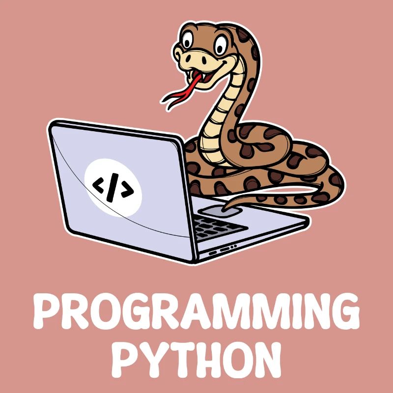 Programmeur de scripts, Développeur de débogage informatique