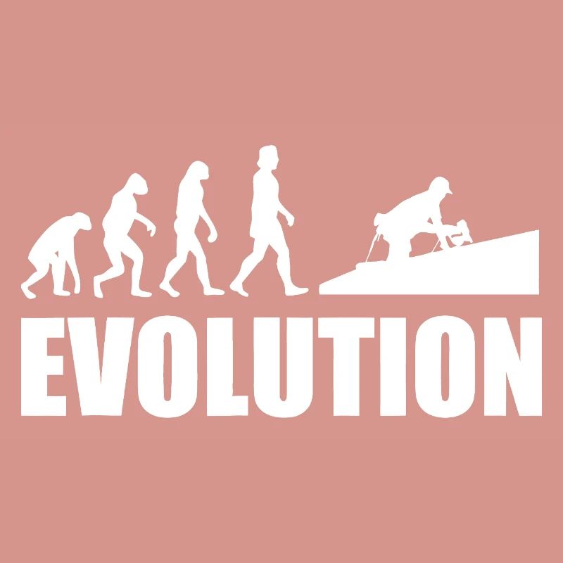 Evolution to Innovation