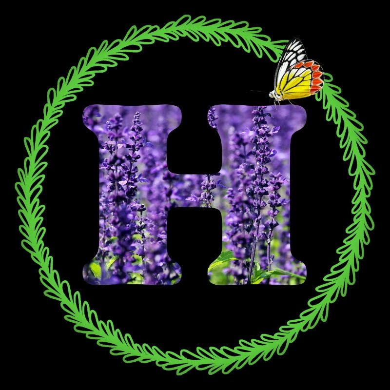 lavande h