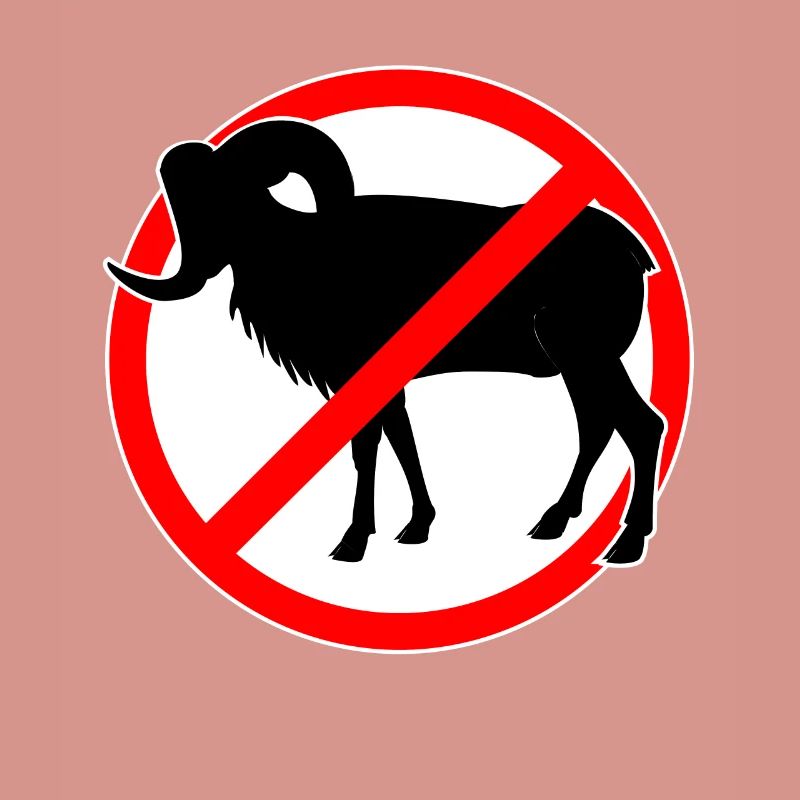 Ziegen oder Mufflons verboten - Ziege