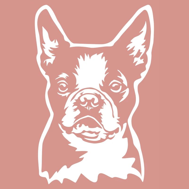 Boston Terrier Kopf "Black Edition"