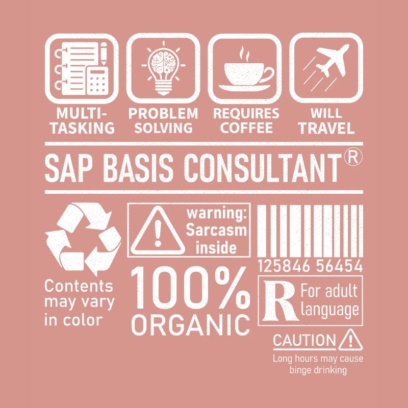 Sap Basis Consultant multi tasking problem solving