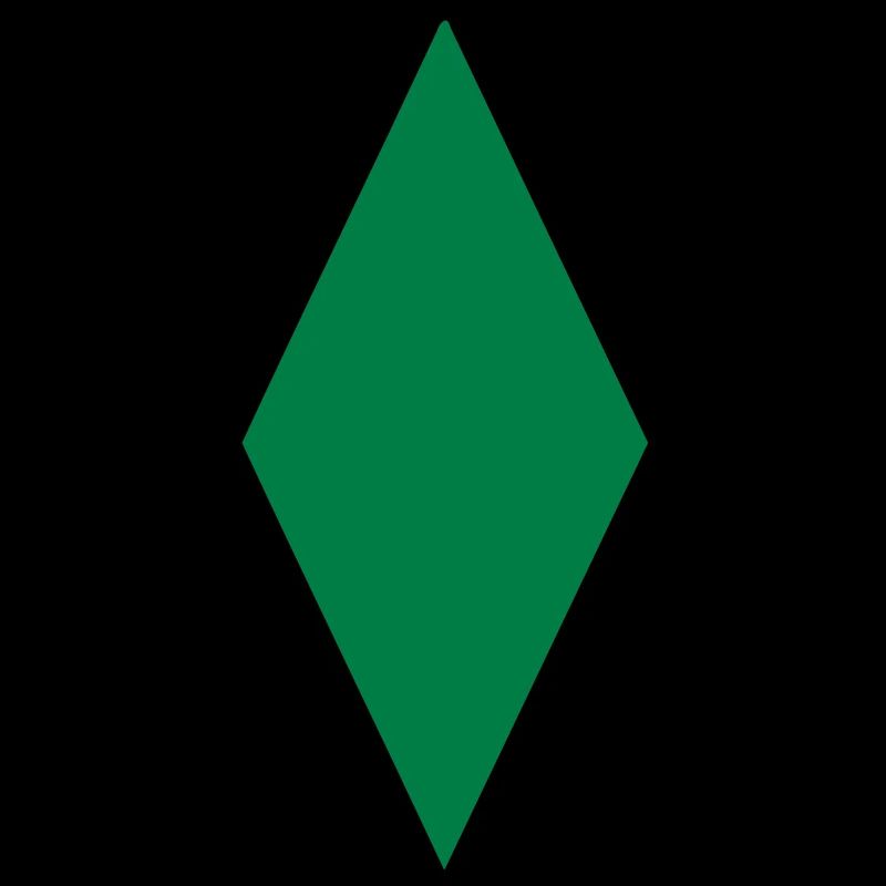 raute2