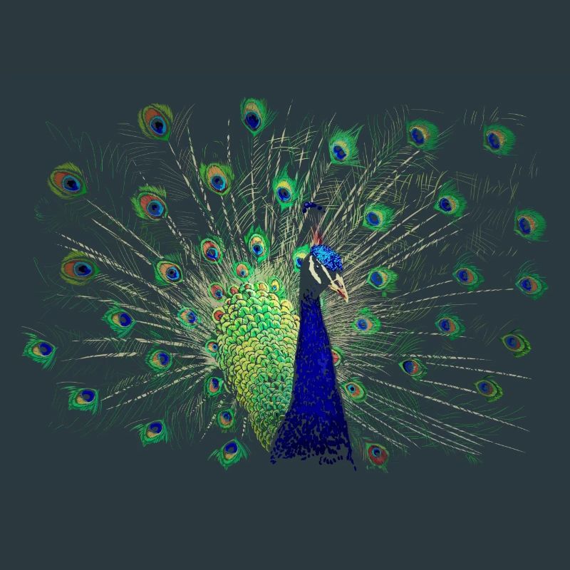 Peacock