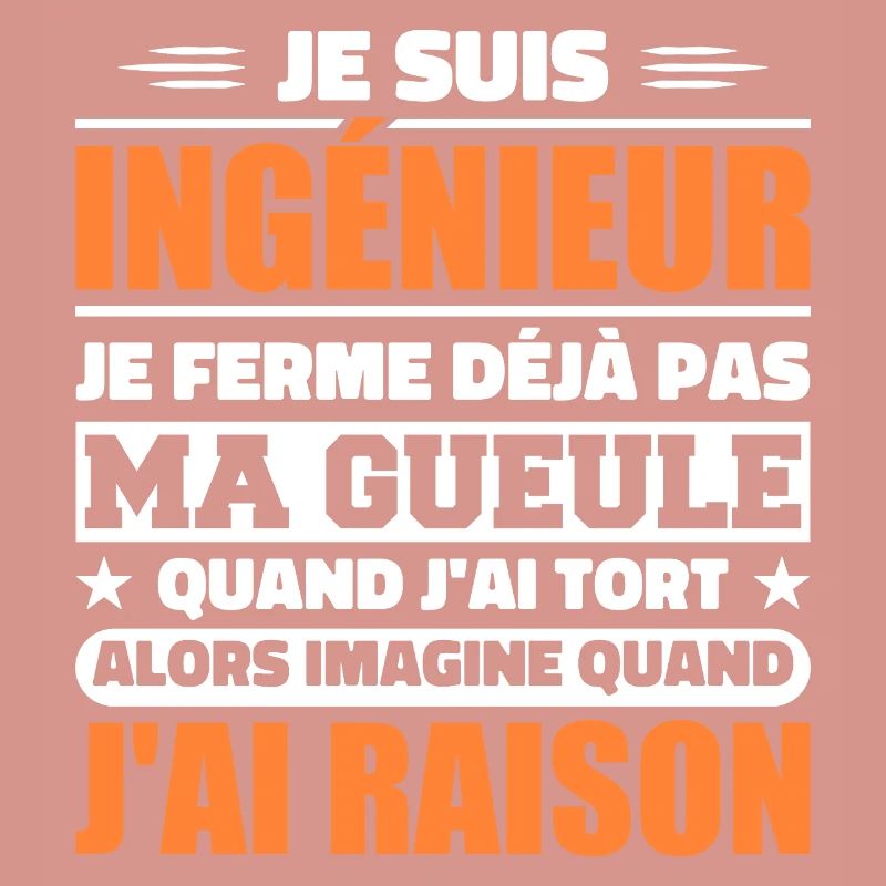 Engineer Humor Gift Student Engineer