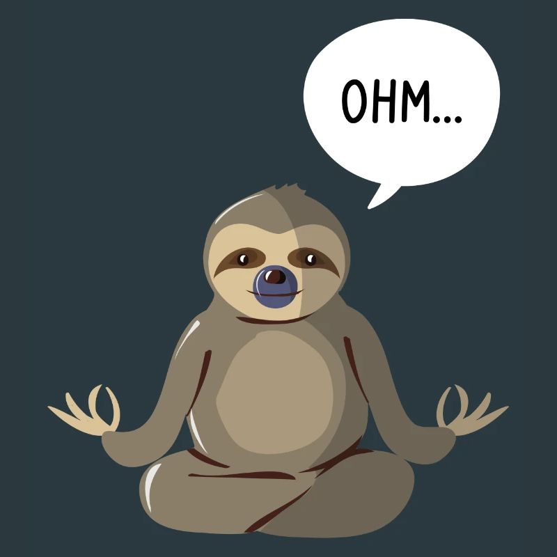 Ohm Sloth