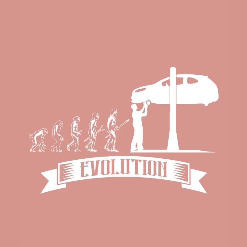 Evolution: Mécanicien automobile automobile mécatronique