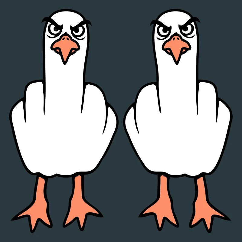 2 Möwen Mittelfinger Beleidigung Stinkefinger Team
