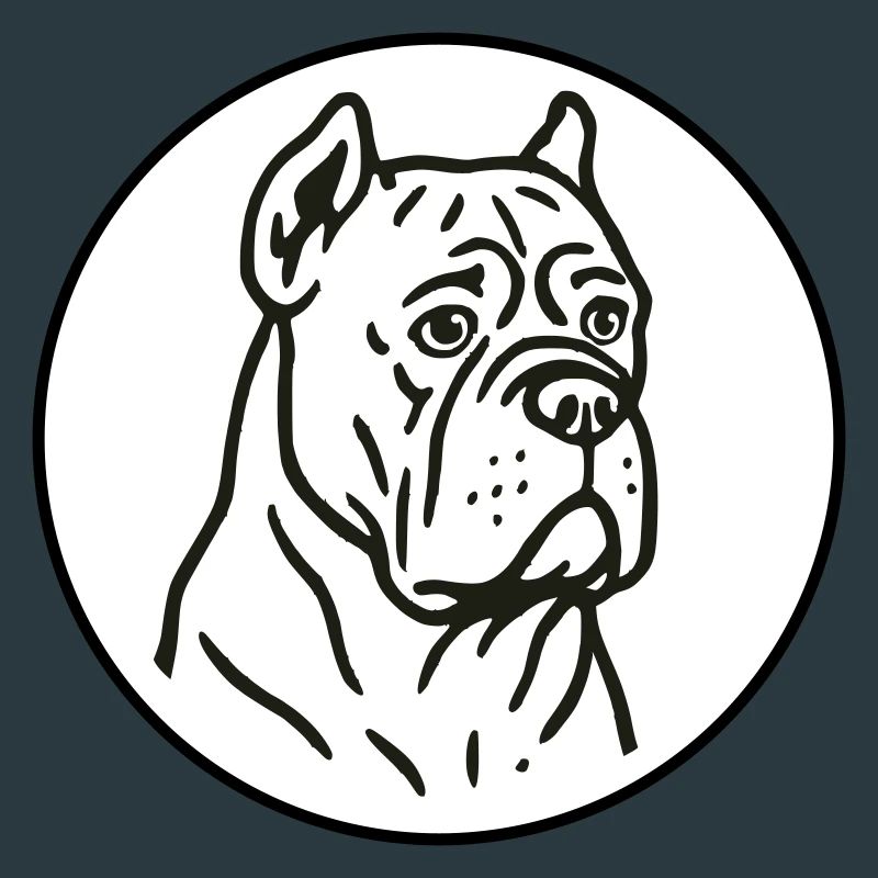 Cane Corso