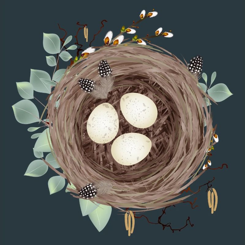Bird's nest or Easter nest with three eggs and feathers