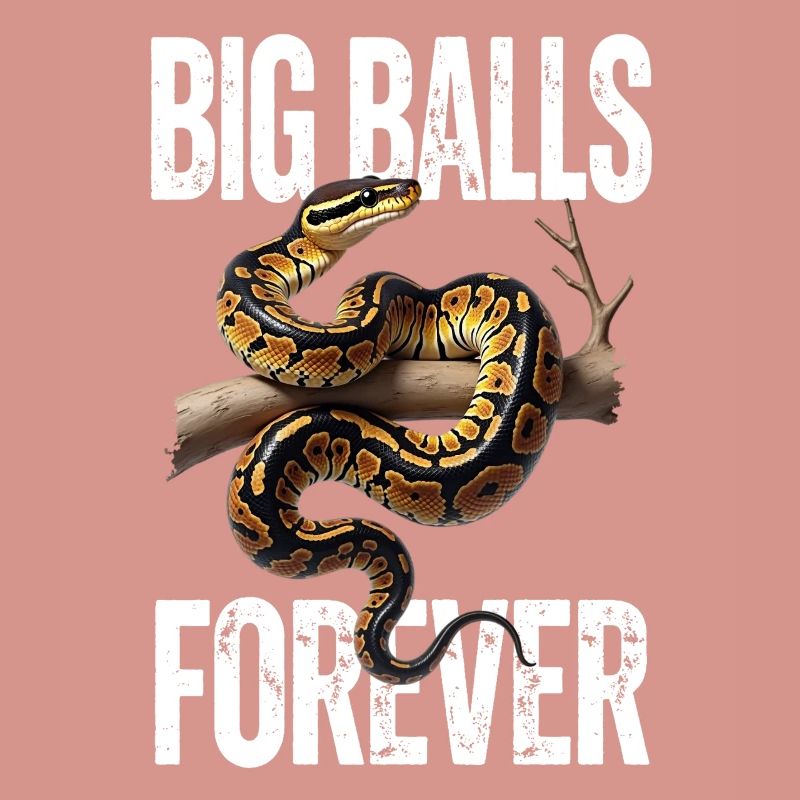 Python roi Serpents Amateurs de terrarium Python