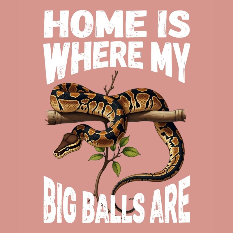 Python roi Serpents Amateurs de terrarium Python