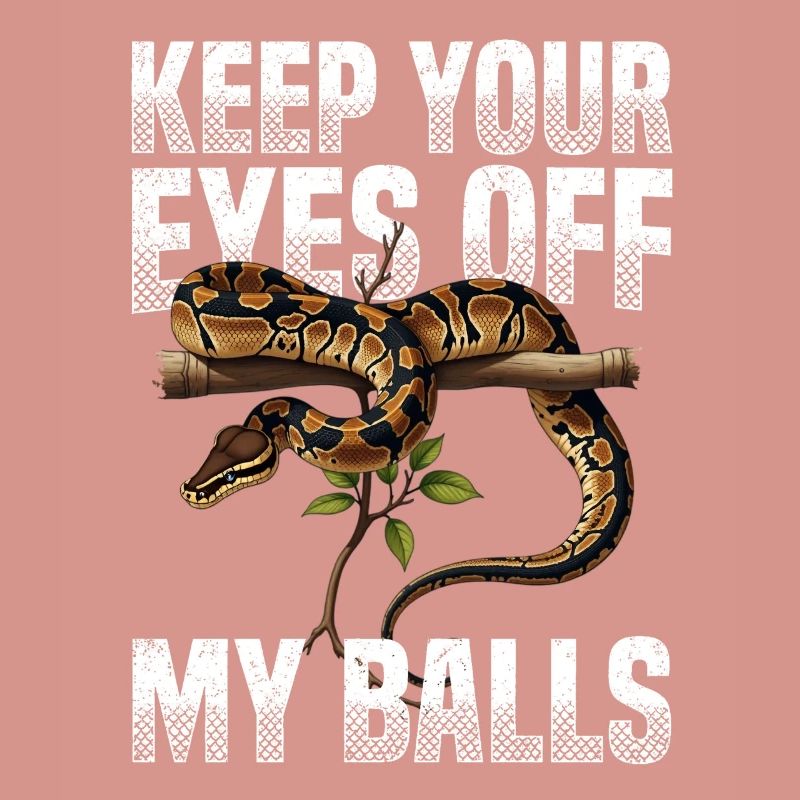 Königspython Schlangen Liebhaber Terrarium Python