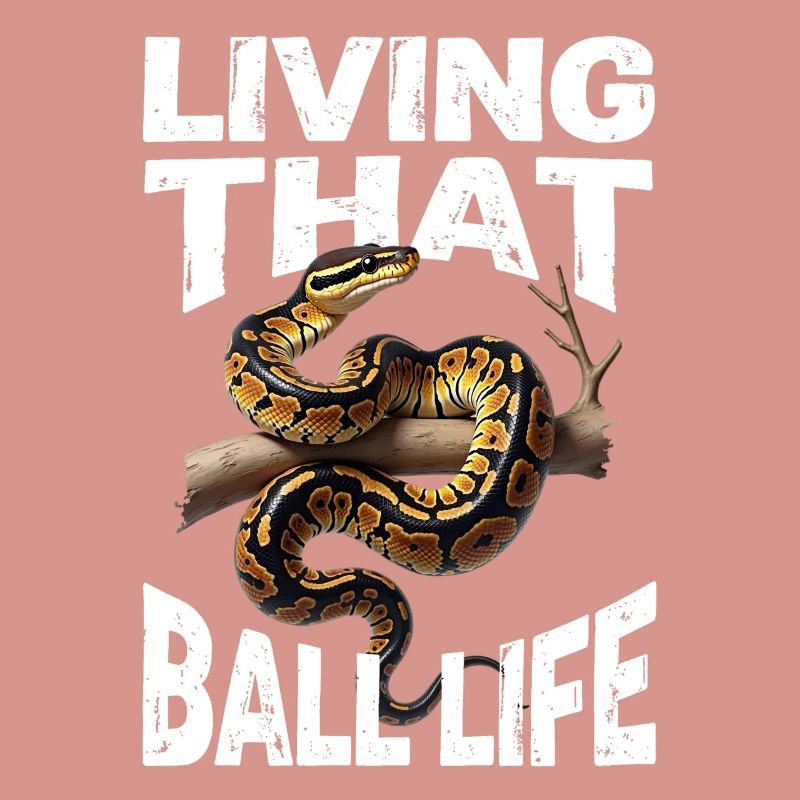 Python roi Serpents Amateurs de terrarium Python