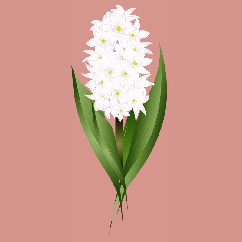 Jacinthe blanche – délicatesse sous forme de fleur