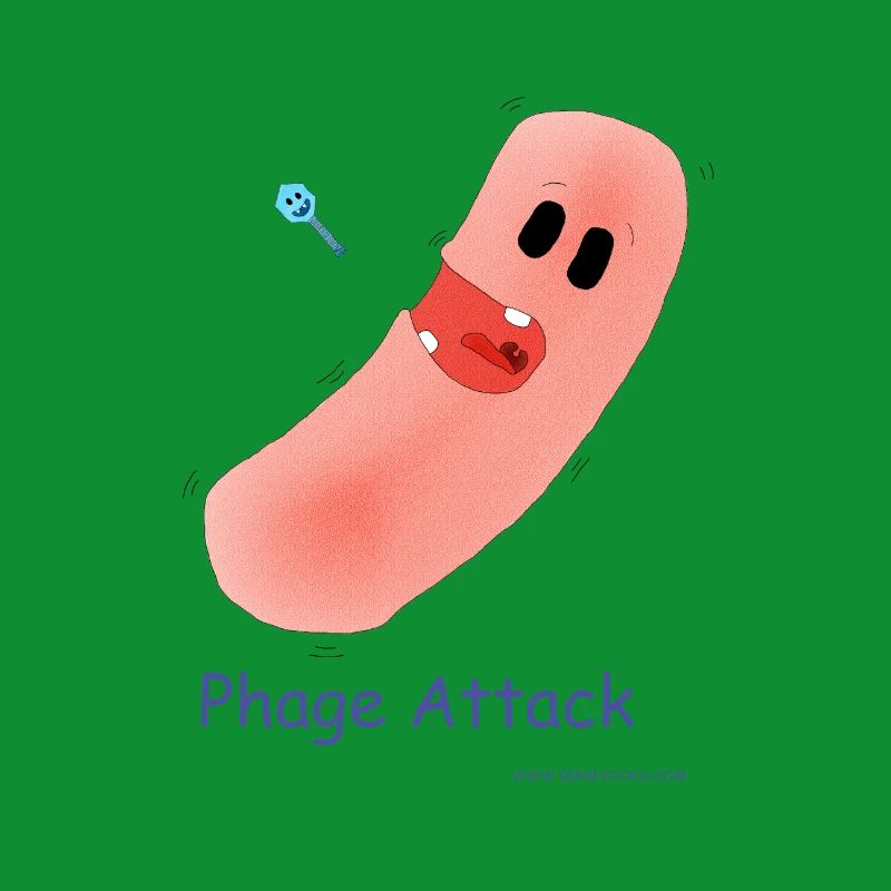 Attaque du phage - Bactéries et bactériophages