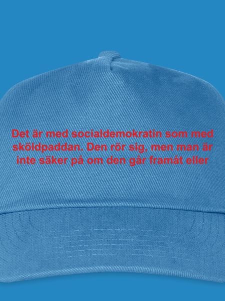 Sozialdemokraten Text