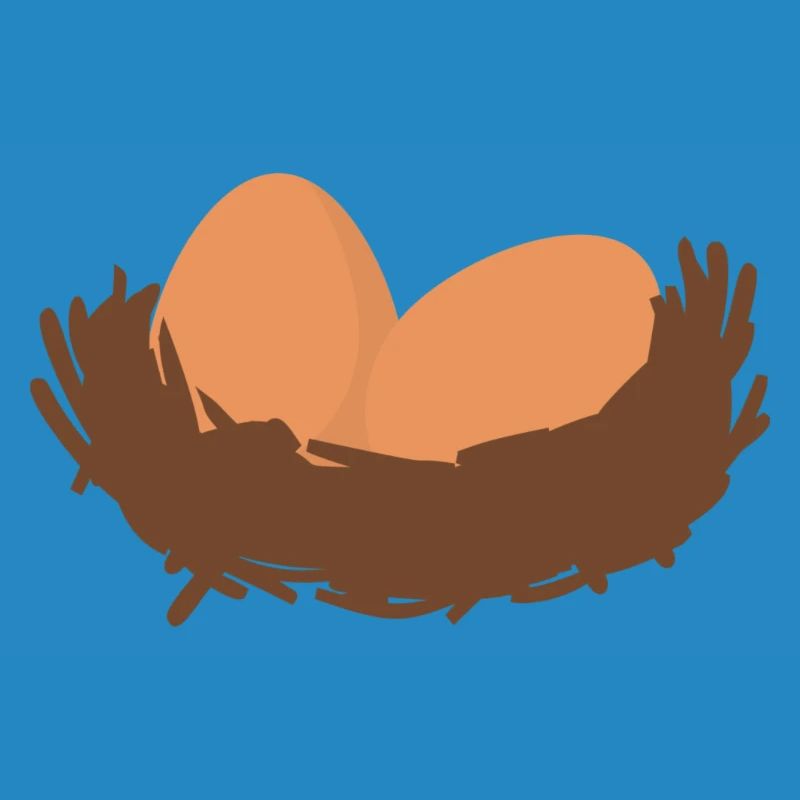 Eggs Nest Egg Easter