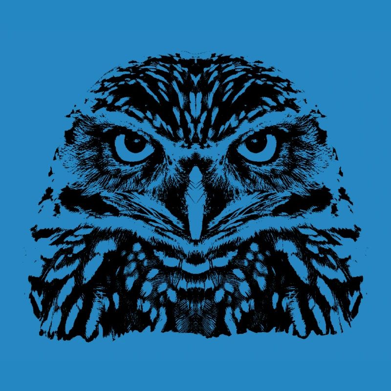 Die Eule / The Owl