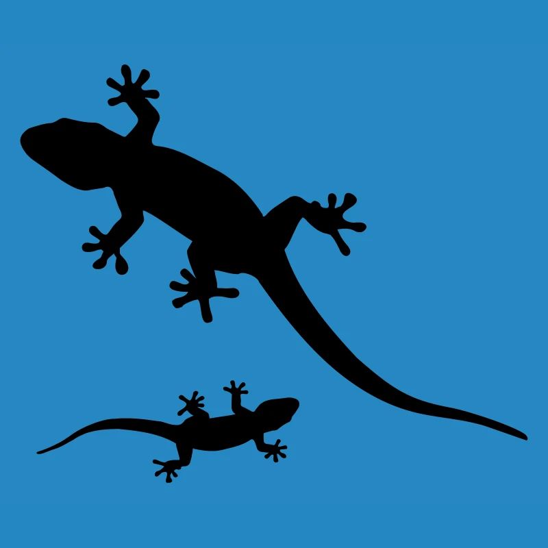 Geckos