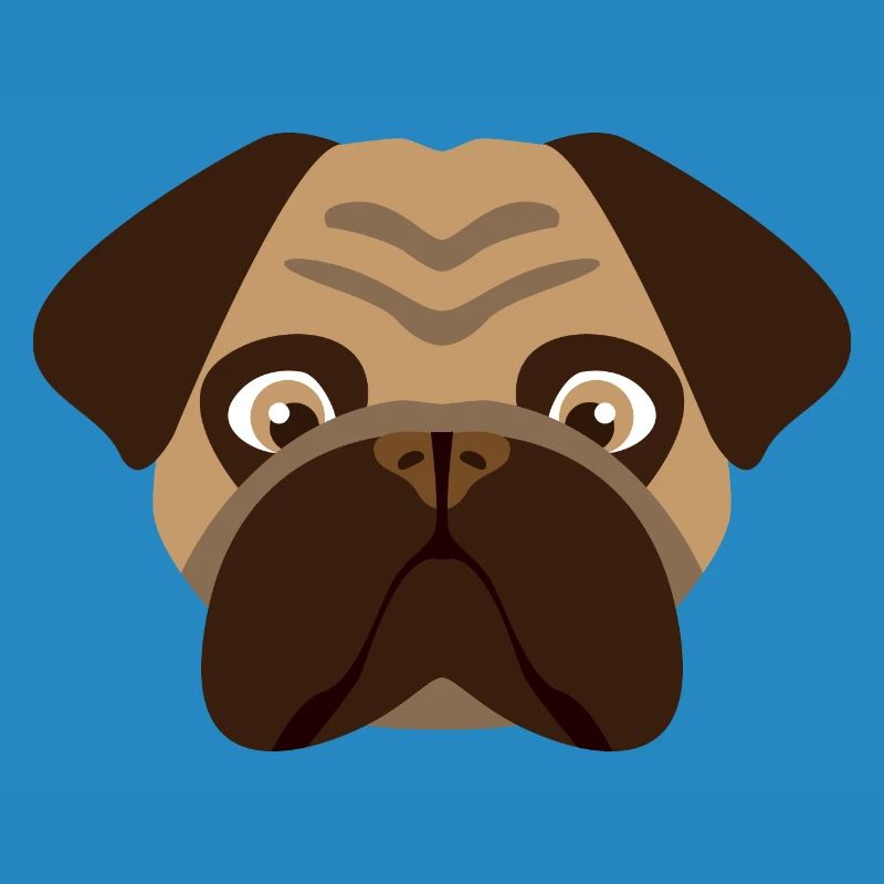 Hund Mops