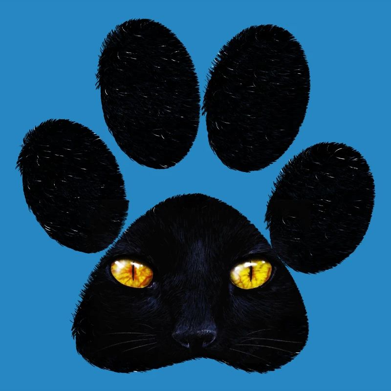 Patte de chat