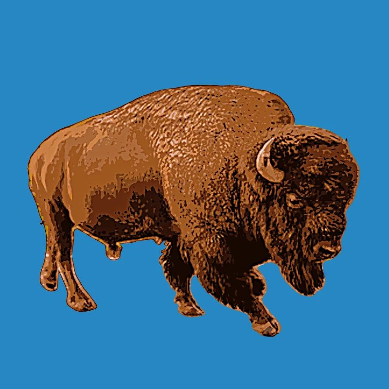 bison