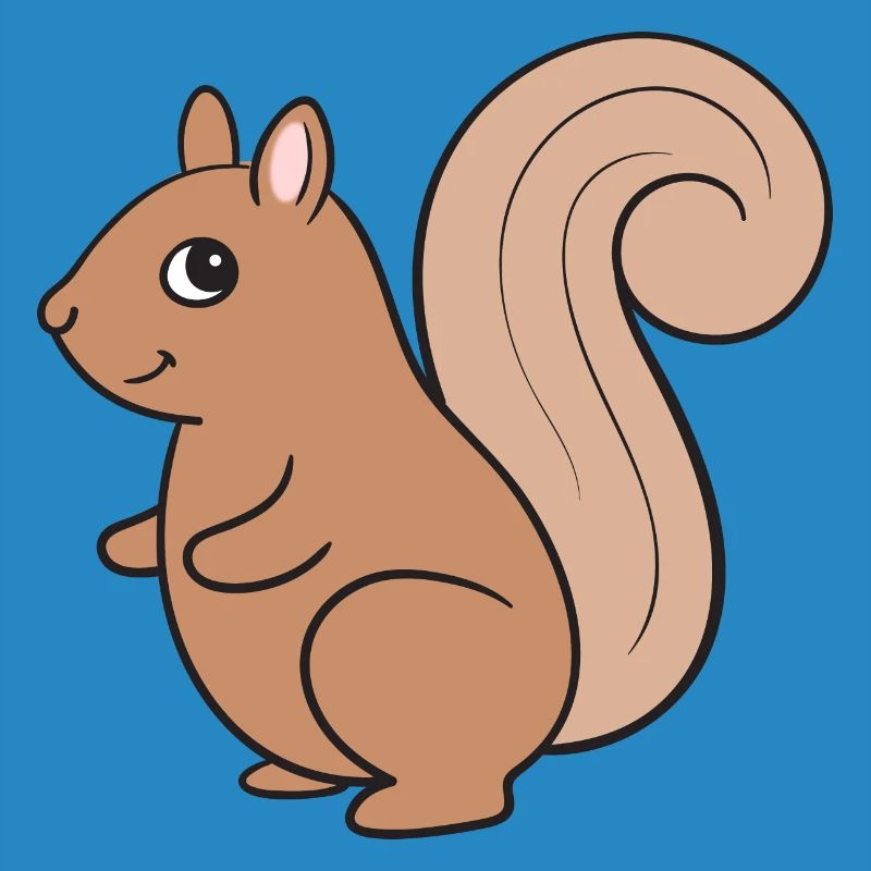 Squirrel