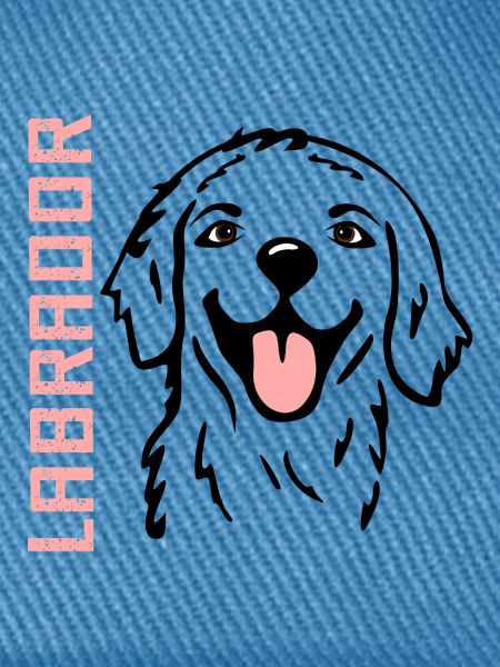 Glückliche Hunde Labrador