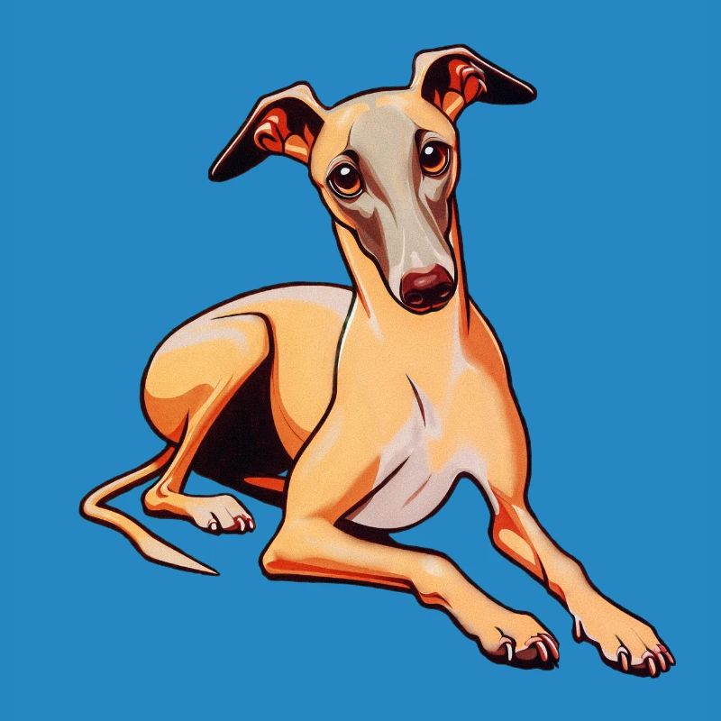 Whippet