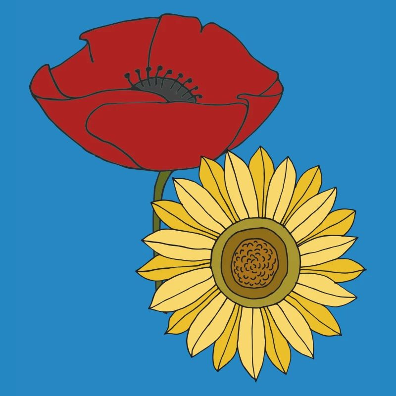 mohn sonnenblume