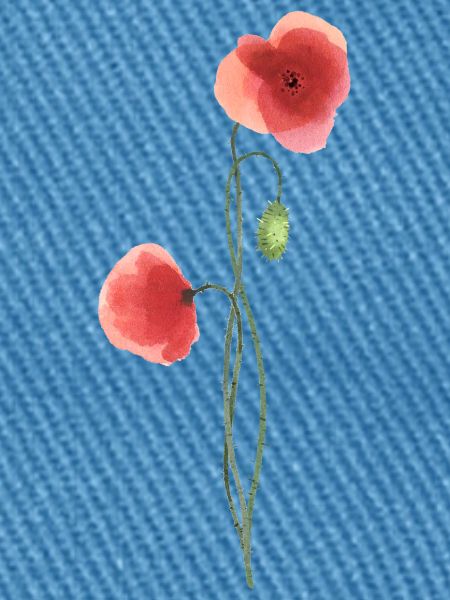 Blume: roter Mohn